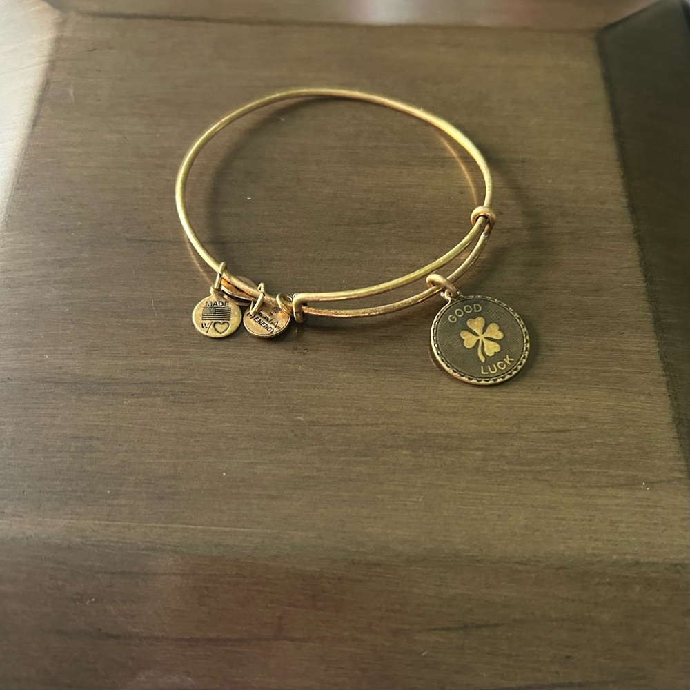 Alex and Ani Good Luck Gold Charm Bangle Bracelet